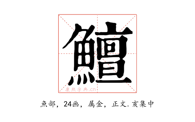 鱣