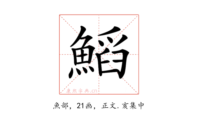 𩹴