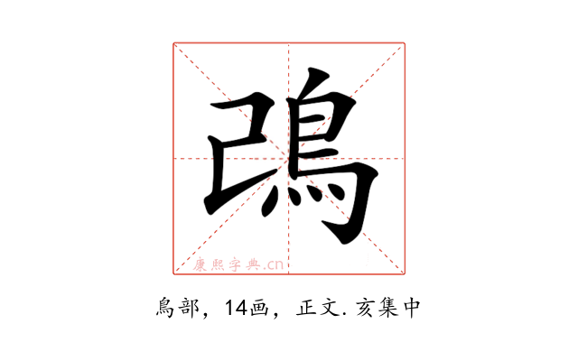 𩾠