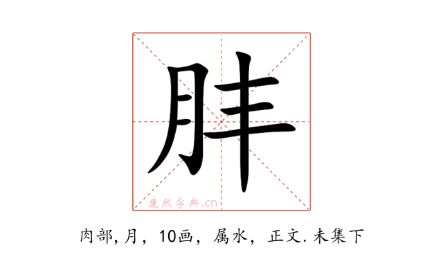 肨