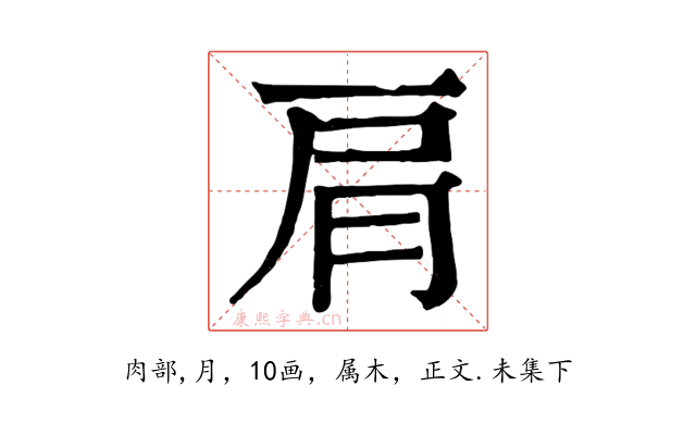 肩