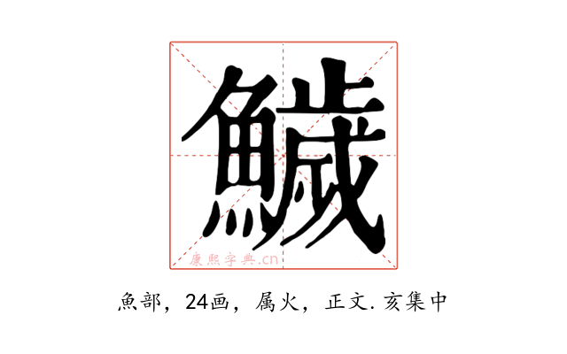 鱥