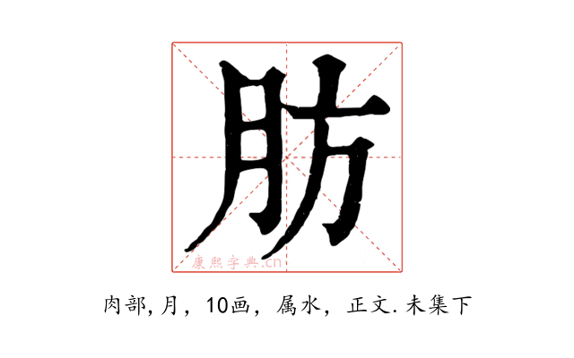 肪