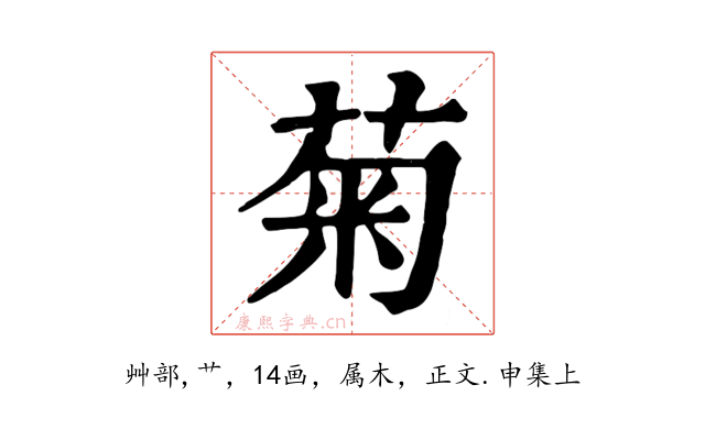菊