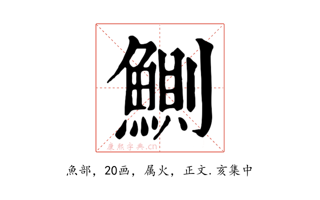 鰂