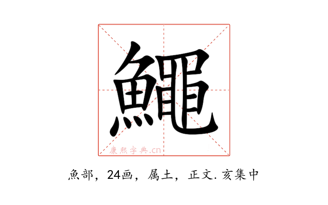 鱦