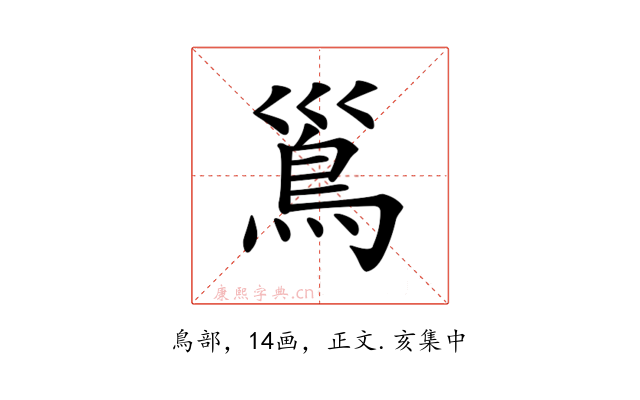 𩾣