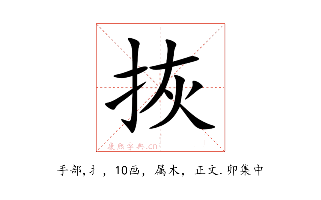 拻