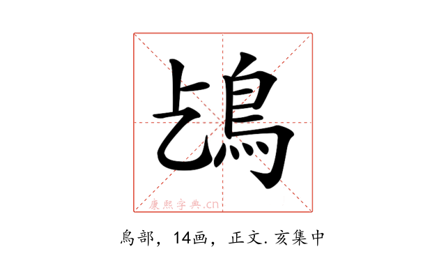 𩾤
