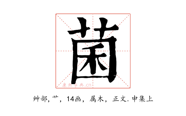 菌