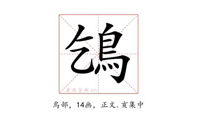 𩾥