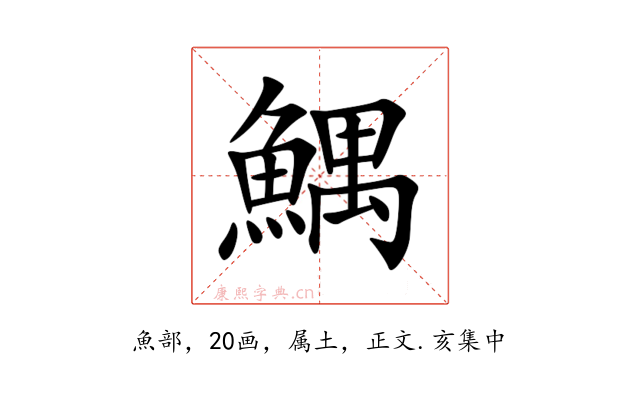 鰅