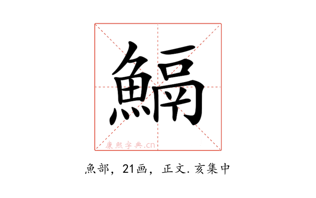 𩹺