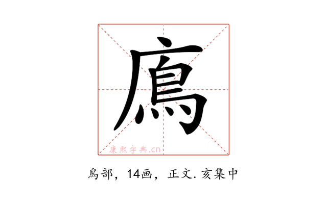 𩾦