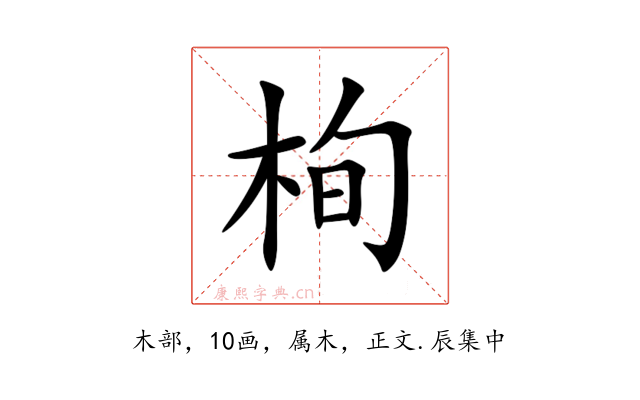 栒