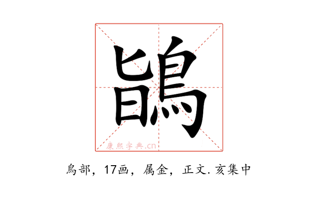 鴲