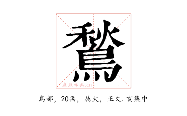 鶖