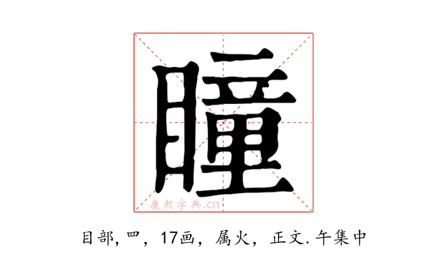瞳