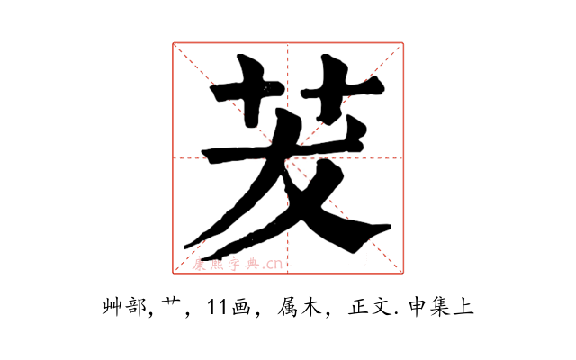 茇