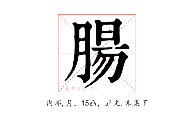 腸