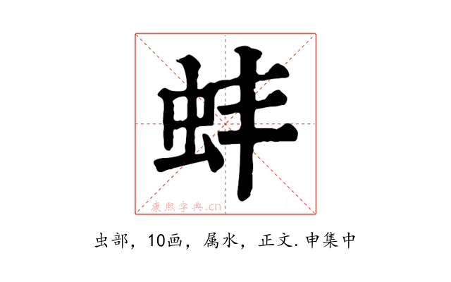 蚌
