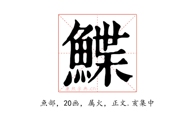 鰈