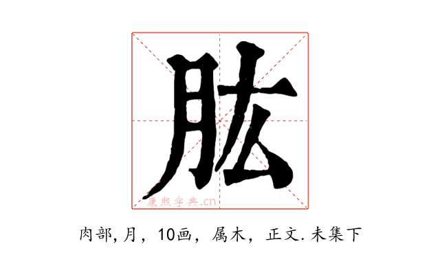 肱