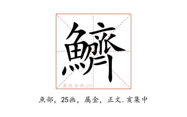 鱭
