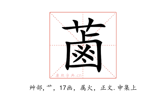 蓾