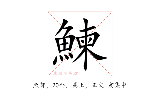 鰊