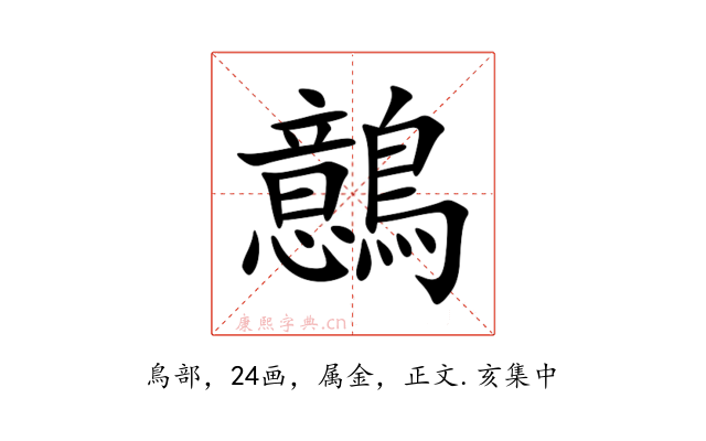 鷾