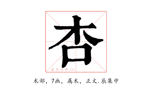 杏