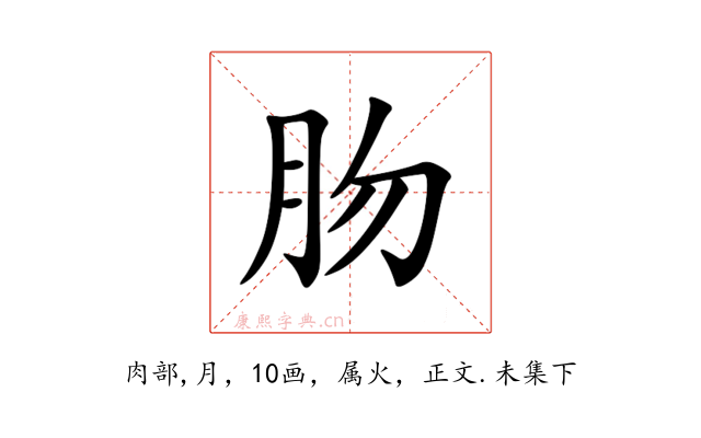 肳