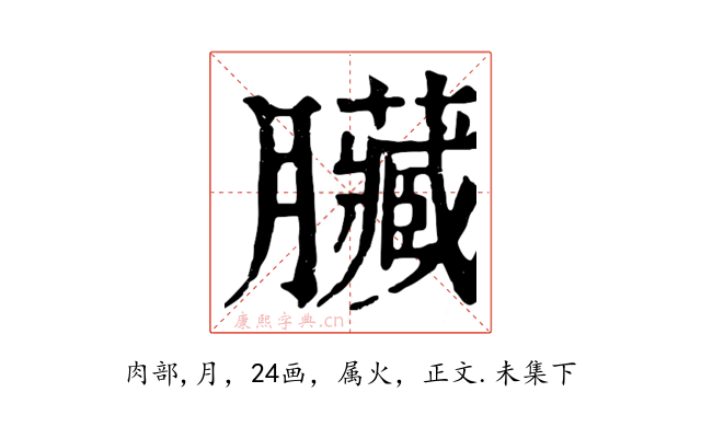 臟