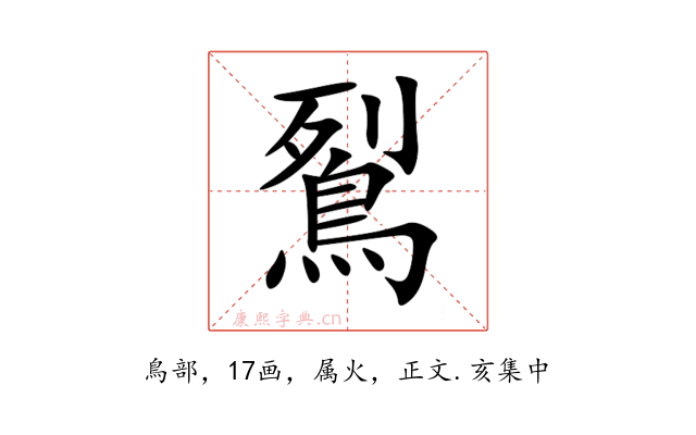 鴷