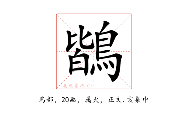 鶛
