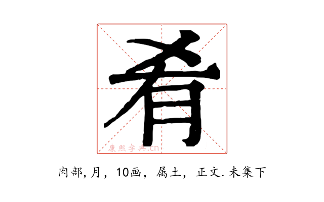 肴
