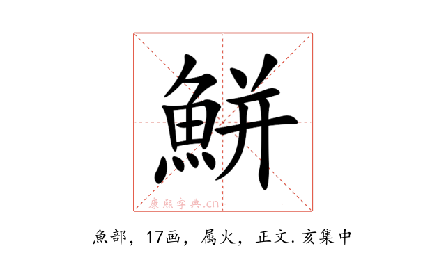 鮩