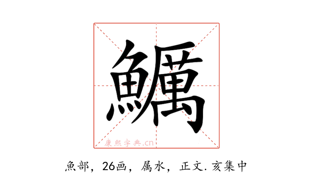 鱱