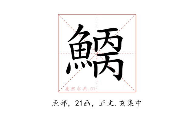 𩺂