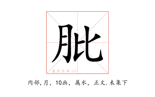 肶