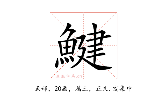 鰎