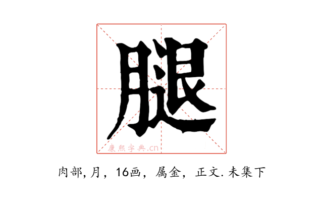 腿