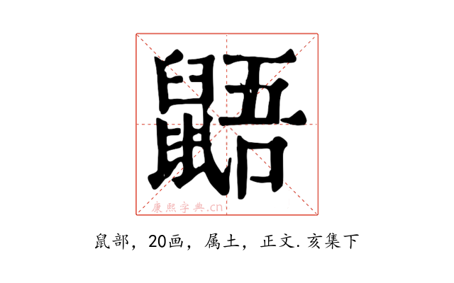 鼯