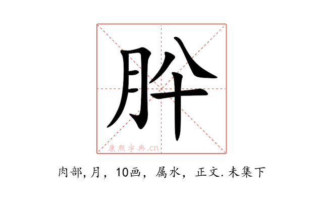 肸