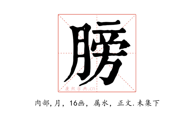膀