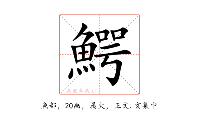 鰐