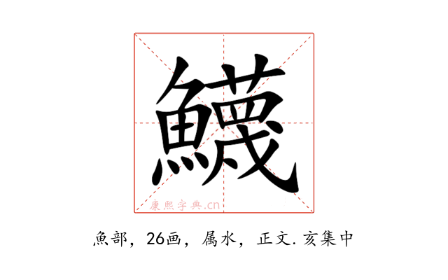 鱴