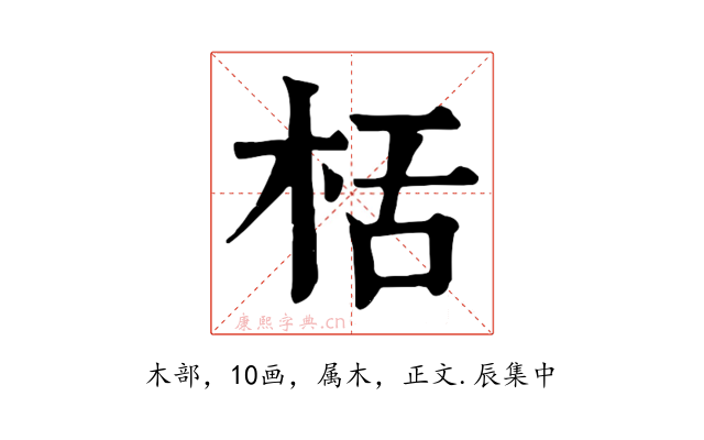 栝