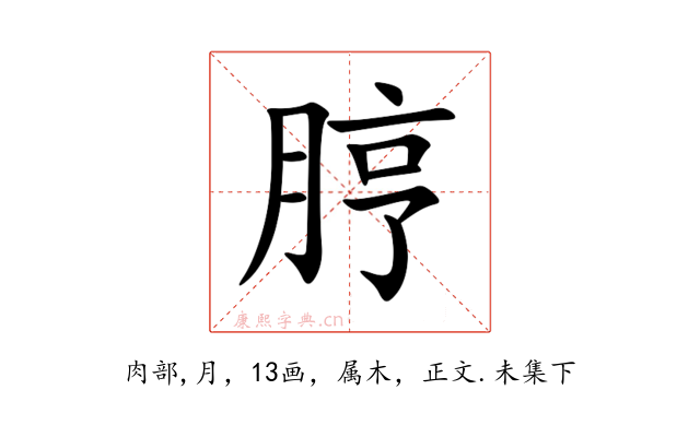 脝